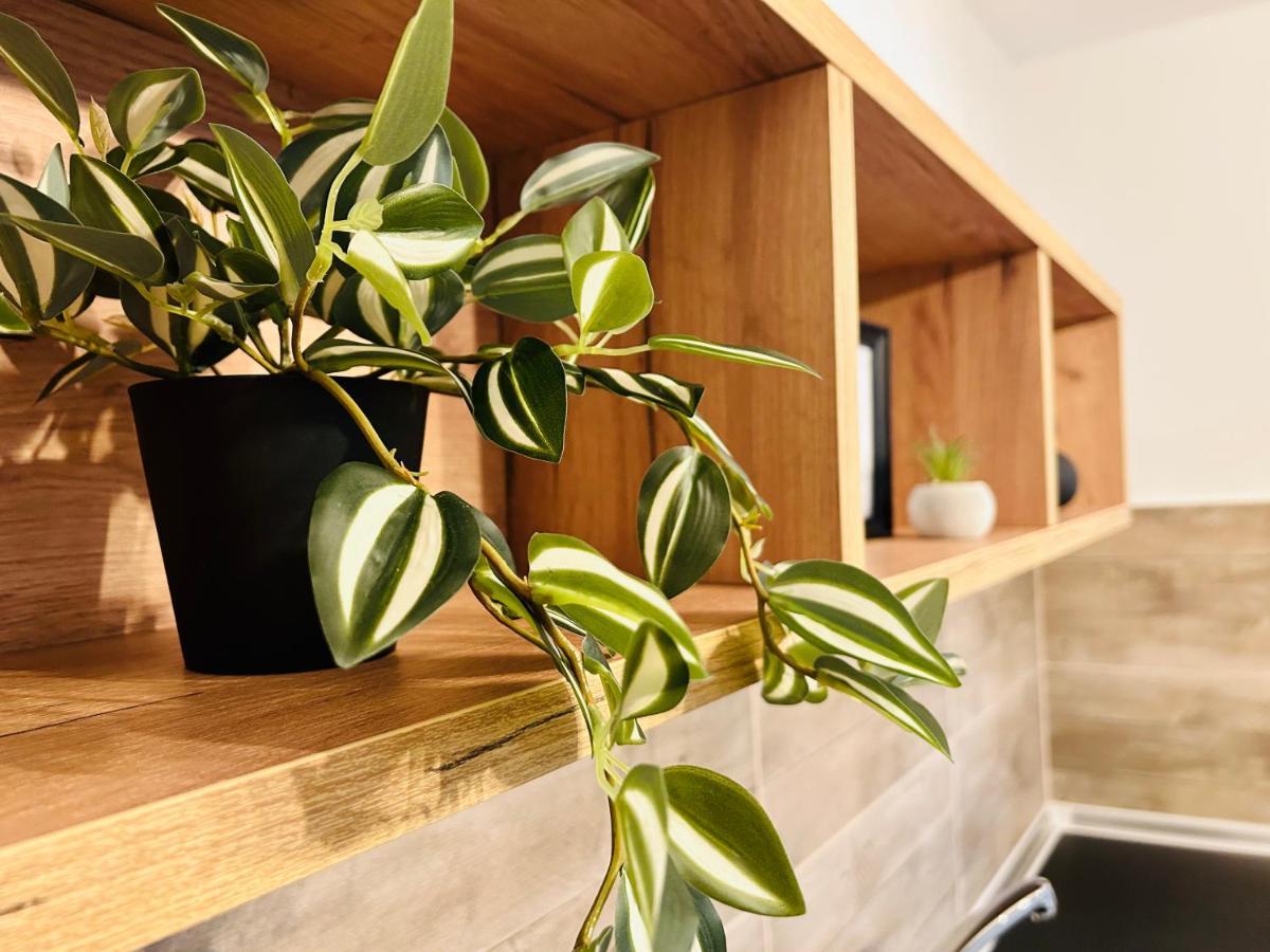 Apartmán Ithaca Σπίτι Με Αυτόνομη Είσοδο Soluň Exteriér fotografie